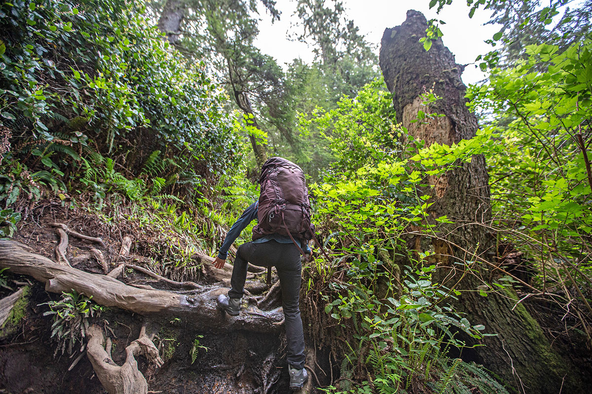 Oboz Katabatic Mid Waterproof hiking boot (hiking up steep and wet trail)